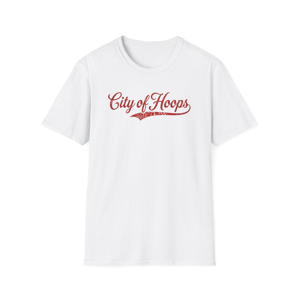 city of hoops